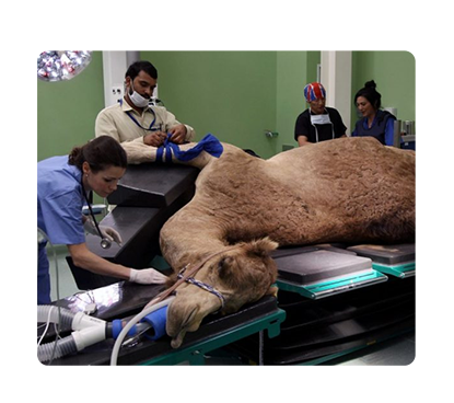 مؤشرات القطاع