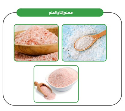 Products of salt production and packaging plant 